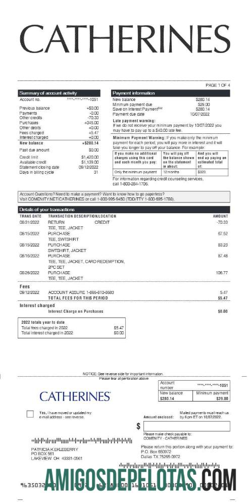 Em branco Modelo de demonstrativo de ganhos CATHERINES em formatos Word e PDF.pdf, 1